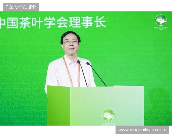 重庆排球队状态分析与未来展望聚焦排球运动发展新机遇 重庆排球队状态分析与未来展望聚焦排球运动发展新机遇