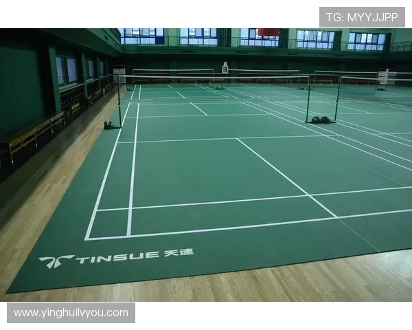 北京羽毛球队意识对比深度解析与战术思维的独特视角