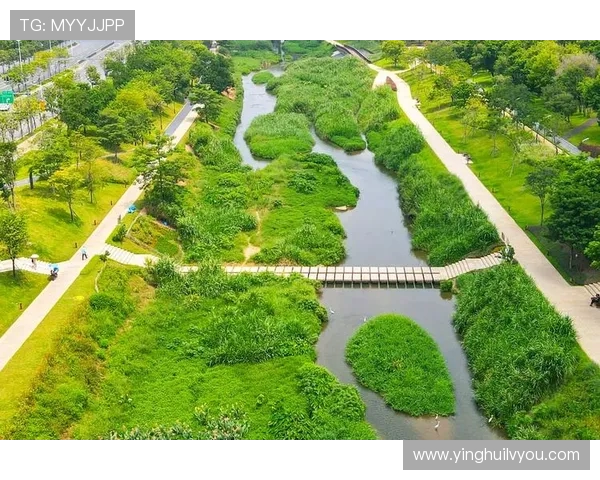 南京极限运动队的阵地战与城市活力的碰撞与发展探讨