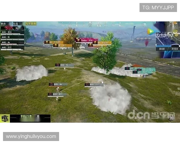 和平精英战术排行榜揭晓RNG战队荣登第六名引发热议